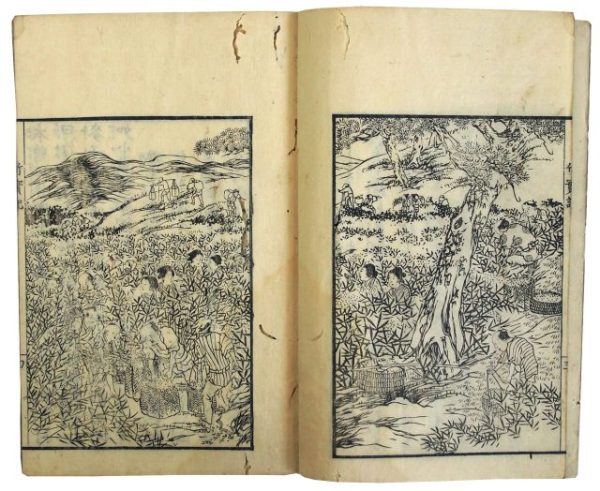 竹実記（06の077）