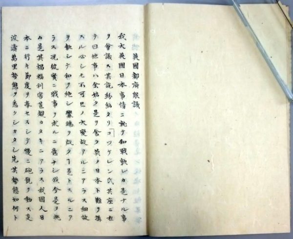 威遠譚筆・英国都府衆議（01-246／22428）