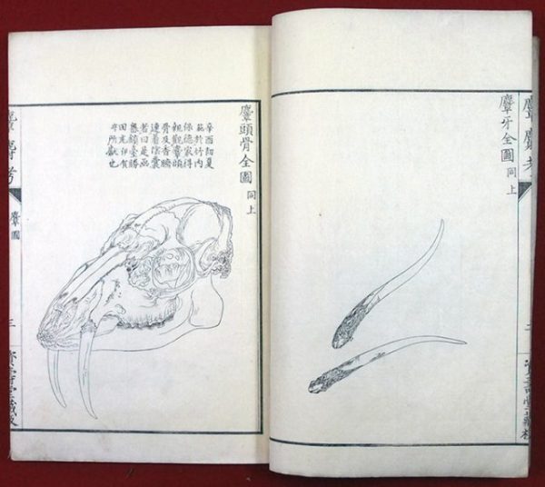 麞麝考（01-185／25203）