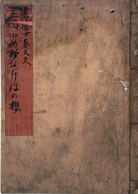 三国少女良曙桜桶伏の段（02の198／25886）