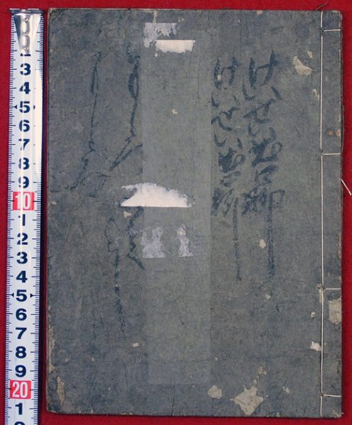 傾城出口柳（01-156／25505）