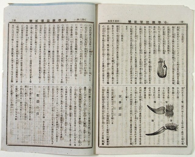 修正社刊小学雑誌（01-313／25552）