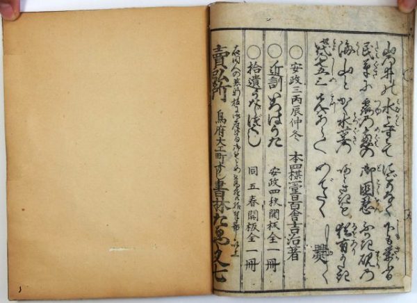 御代の七五縄-2013c
