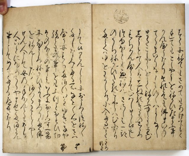 処女のおしへ-2631f