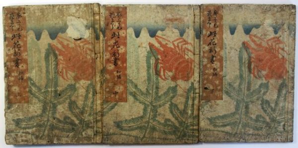 廓ふりげ箱まくら此花新書-0491